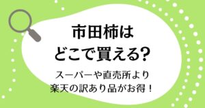 市田柿はどこで買える？スーパーや直売所より楽天の訳あり品がお得！