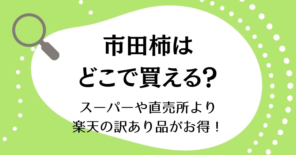 市田柿はどこで買える？スーパーや直売所より楽天の訳あり品がお得！