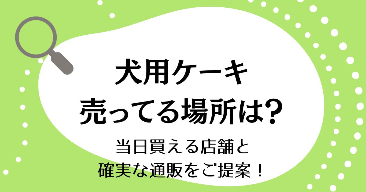 犬用ケーキが売ってる場所はどこ？当日買える店舗と確実な通販をご提案！